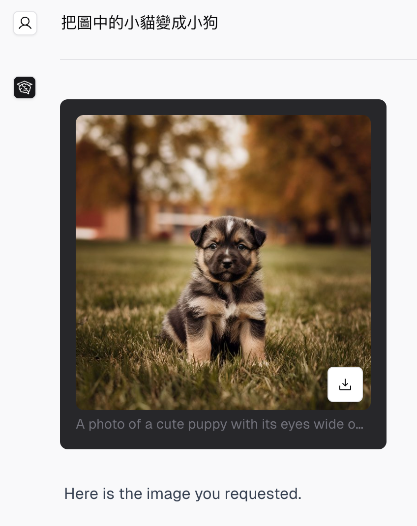Edited image result showing a puppy after an image change request