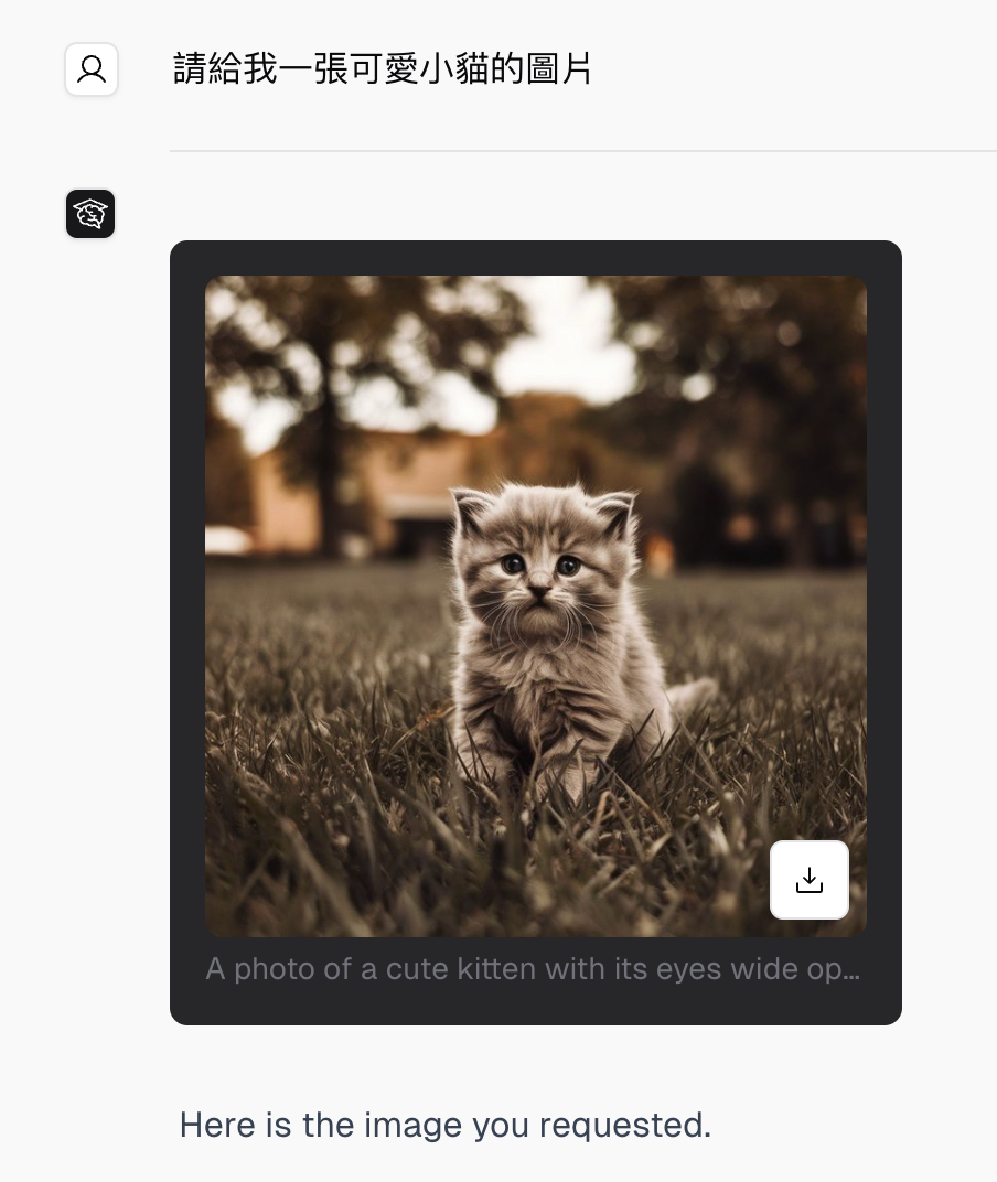 Generated kitten image result in a chat conversation